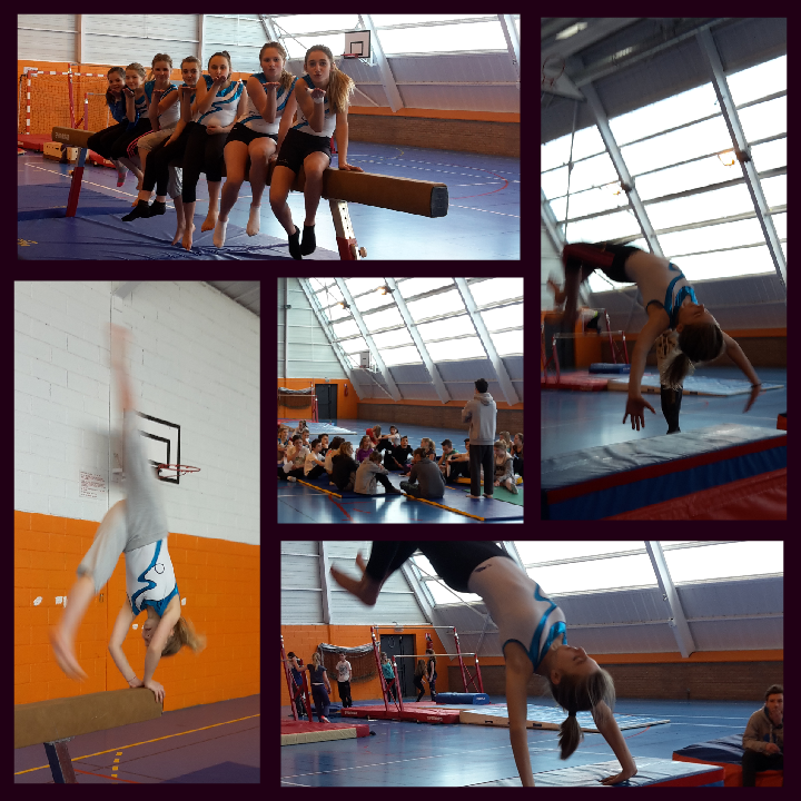 CompÉtition De Gymnastique Collège Joliot Curie De Mers Les Bains Tél 0235505400 